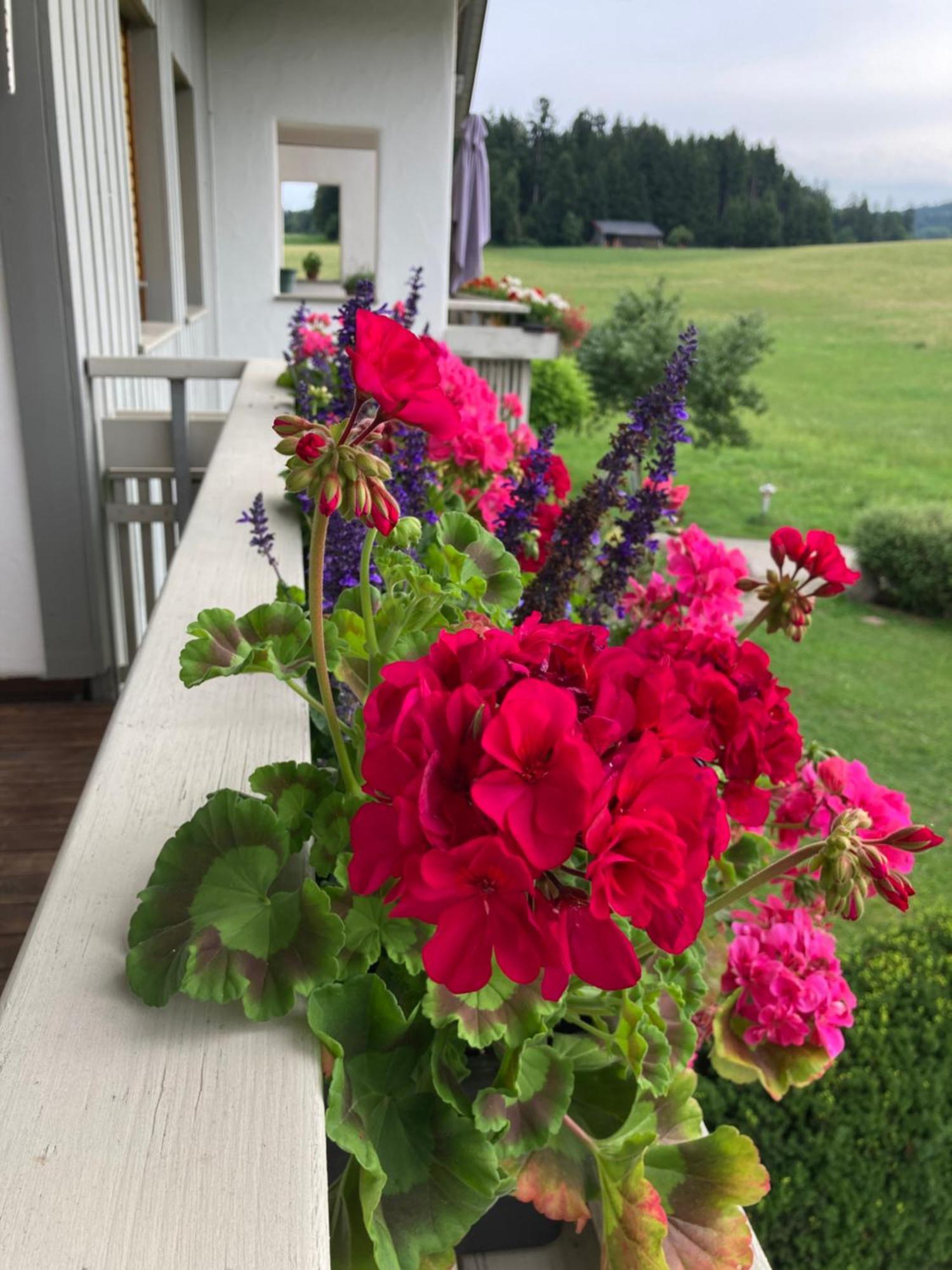 Ferienwohnungen Allgaeu-Bodensee Sigmarszell Zewnętrze zdjęcie